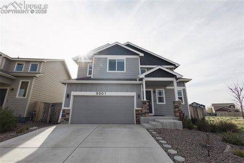 Photo of 9901 Castor Drive, Colorado Springs, CO 80925 (MLS # 2419213)