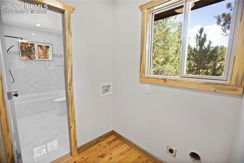 Tiny photo for 117 Rabbil Creek Trail, Florissant, CO 80816 (MLS # 9537176)