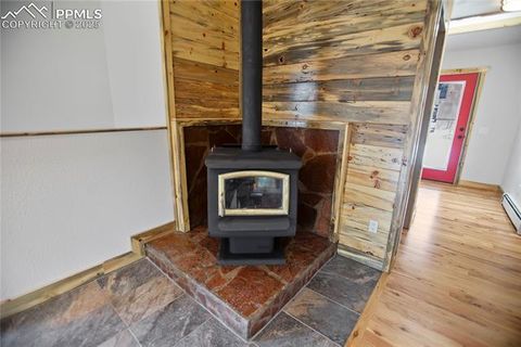 Tiny photo for 117 Rabbil Creek Trail, Florissant, CO 80816 (MLS # 9537176)