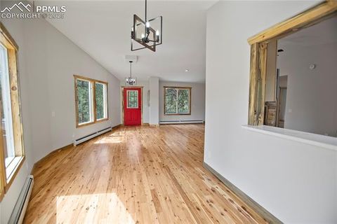 Tiny photo for 117 Rabbil Creek Trail, Florissant, CO 80816 (MLS # 9537176)