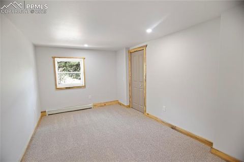 Tiny photo for 117 Rabbil Creek Trail, Florissant, CO 80816 (MLS # 9537176)