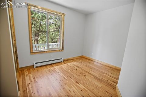 Tiny photo for 117 Rabbil Creek Trail, Florissant, CO 80816 (MLS # 9537176)
