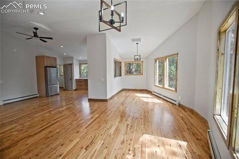 Tiny photo for 117 Rabbil Creek Trail, Florissant, CO 80816 (MLS # 9537176)