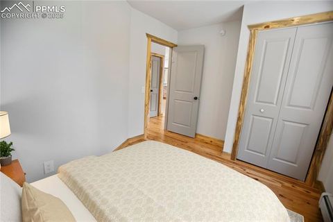 Tiny photo for 117 Rabbil Creek Trail, Florissant, CO 80816 (MLS # 9537176)