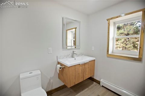 Tiny photo for 117 Rabbil Creek Trail, Florissant, CO 80816 (MLS # 9537176)