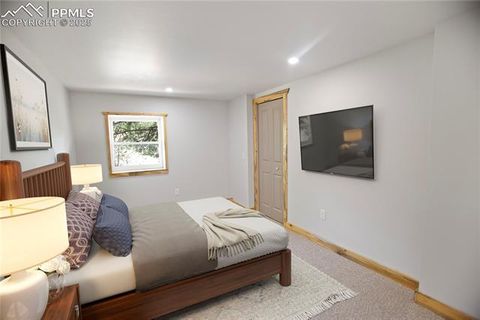 Tiny photo for 117 Rabbil Creek Trail, Florissant, CO 80816 (MLS # 9537176)