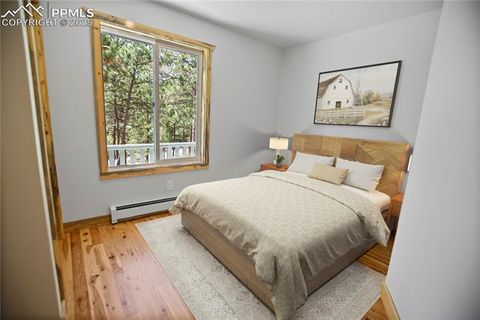 Tiny photo for 117 Rabbil Creek Trail, Florissant, CO 80816 (MLS # 9537176)