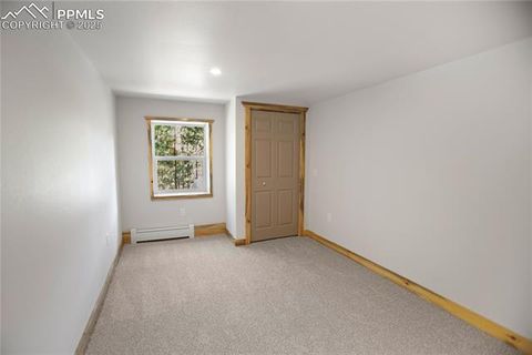 Tiny photo for 117 Rabbil Creek Trail, Florissant, CO 80816 (MLS # 9537176)