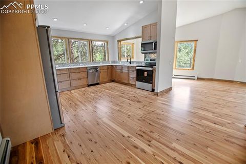Tiny photo for 117 Rabbil Creek Trail, Florissant, CO 80816 (MLS # 9537176)