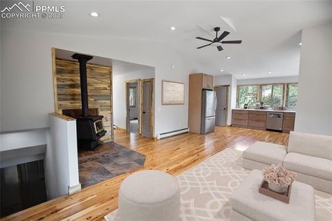 Tiny photo for 117 Rabbil Creek Trail, Florissant, CO 80816 (MLS # 9537176)