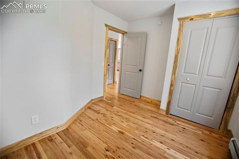 Tiny photo for 117 Rabbil Creek Trail, Florissant, CO 80816 (MLS # 9537176)