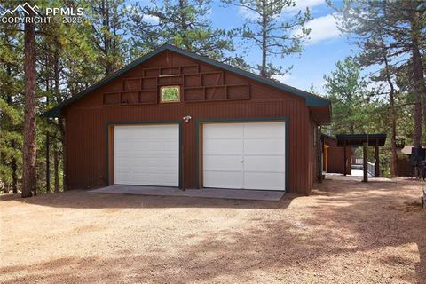 Tiny photo for 117 Rabbil Creek Trail, Florissant, CO 80816 (MLS # 9537176)
