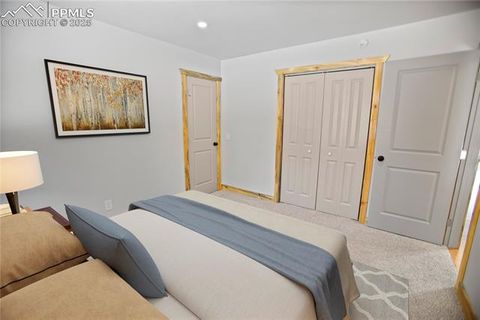 Tiny photo for 117 Rabbil Creek Trail, Florissant, CO 80816 (MLS # 9537176)