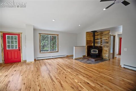 Tiny photo for 117 Rabbil Creek Trail, Florissant, CO 80816 (MLS # 9537176)