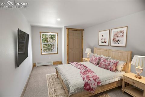 Tiny photo for 117 Rabbil Creek Trail, Florissant, CO 80816 (MLS # 9537176)