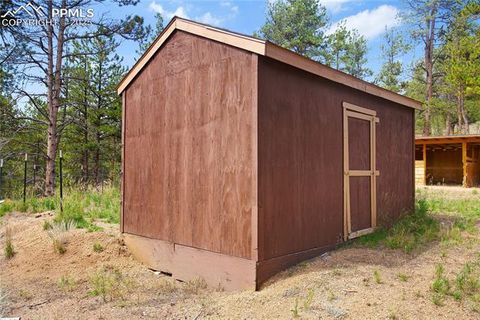 Tiny photo for 117 Rabbil Creek Trail, Florissant, CO 80816 (MLS # 9537176)