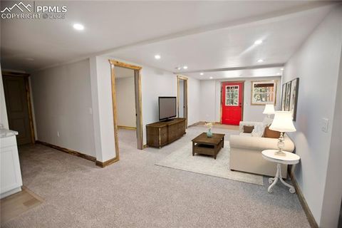 Tiny photo for 117 Rabbil Creek Trail, Florissant, CO 80816 (MLS # 9537176)