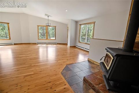 Tiny photo for 117 Rabbil Creek Trail, Florissant, CO 80816 (MLS # 9537176)