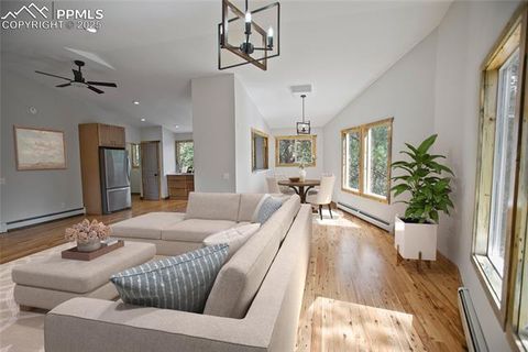 Tiny photo for 117 Rabbil Creek Trail, Florissant, CO 80816 (MLS # 9537176)