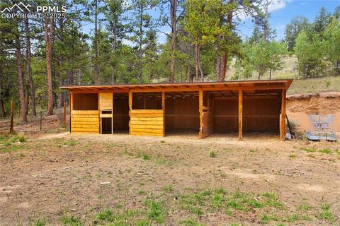 Tiny photo for 117 Rabbil Creek Trail, Florissant, CO 80816 (MLS # 9537176)