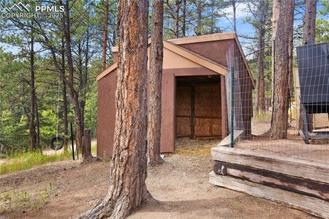 Tiny photo for 117 Rabbil Creek Trail, Florissant, CO 80816 (MLS # 9537176)