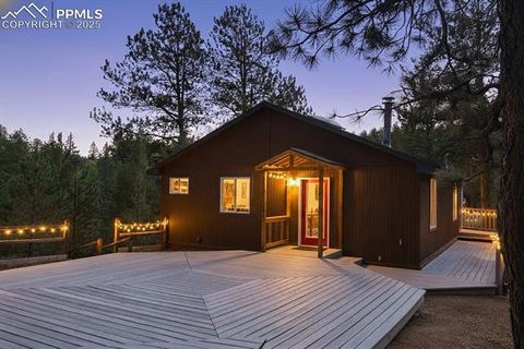Photo of 117 Rabbil Creek Trail, Florissant, CO 80816 (MLS # 9537176)