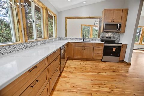 Tiny photo for 117 Rabbil Creek Trail, Florissant, CO 80816 (MLS # 9537176)