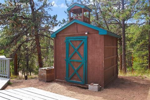 Tiny photo for 117 Rabbil Creek Trail, Florissant, CO 80816 (MLS # 9537176)