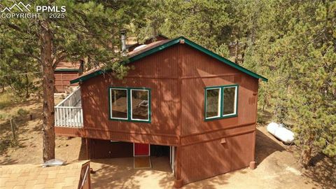 Tiny photo for 117 Rabbil Creek Trail, Florissant, CO 80816 (MLS # 9537176)