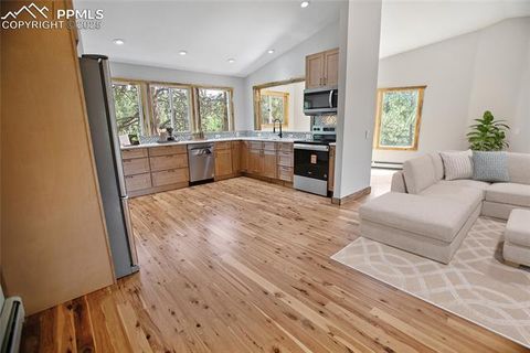 Tiny photo for 117 Rabbil Creek Trail, Florissant, CO 80816 (MLS # 9537176)