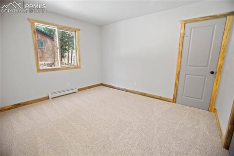 Tiny photo for 117 Rabbil Creek Trail, Florissant, CO 80816 (MLS # 9537176)