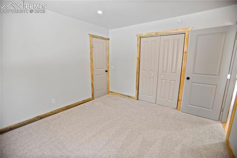 Tiny photo for 117 Rabbil Creek Trail, Florissant, CO 80816 (MLS # 9537176)