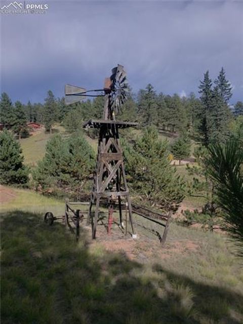 Tiny photo for 117 Rabbil Creek Trail, Florissant, CO 80816 (MLS # 9537176)