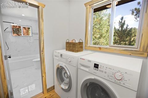 Tiny photo for 117 Rabbil Creek Trail, Florissant, CO 80816 (MLS # 9537176)