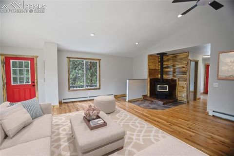 Tiny photo for 117 Rabbil Creek Trail, Florissant, CO 80816 (MLS # 9537176)