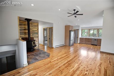 Tiny photo for 117 Rabbil Creek Trail, Florissant, CO 80816 (MLS # 9537176)
