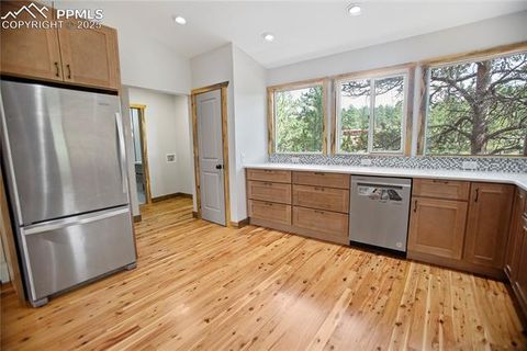 Tiny photo for 117 Rabbil Creek Trail, Florissant, CO 80816 (MLS # 9537176)