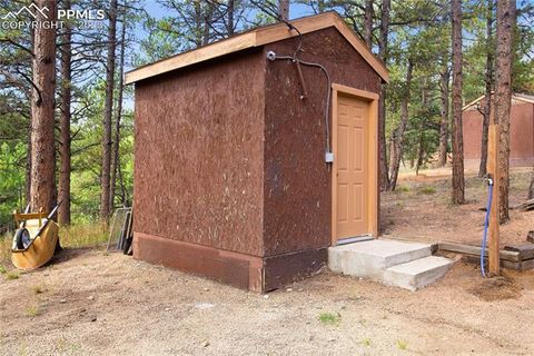 Tiny photo for 117 Rabbil Creek Trail, Florissant, CO 80816 (MLS # 9537176)
