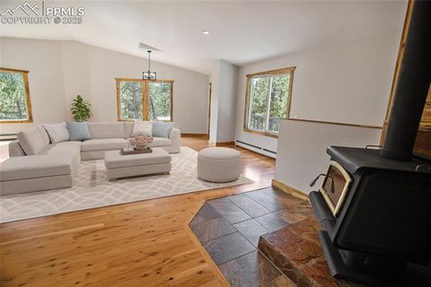 Tiny photo for 117 Rabbil Creek Trail, Florissant, CO 80816 (MLS # 9537176)