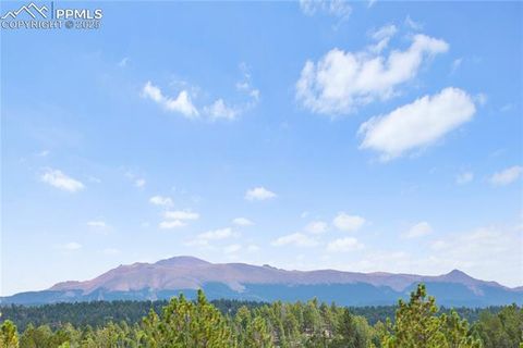 Tiny photo for 117 Rabbil Creek Trail, Florissant, CO 80816 (MLS # 9537176)