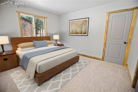 Tiny photo for 117 Rabbil Creek Trail, Florissant, CO 80816 (MLS # 9537176)