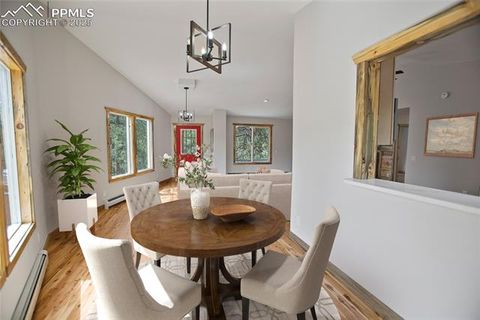 Tiny photo for 117 Rabbil Creek Trail, Florissant, CO 80816 (MLS # 9537176)