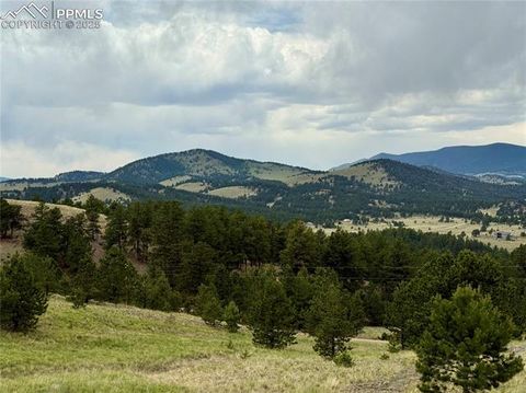 Photo of 682 Nancy Ann Arroyo, Guffey, CO 80820 (MLS # 1081793)