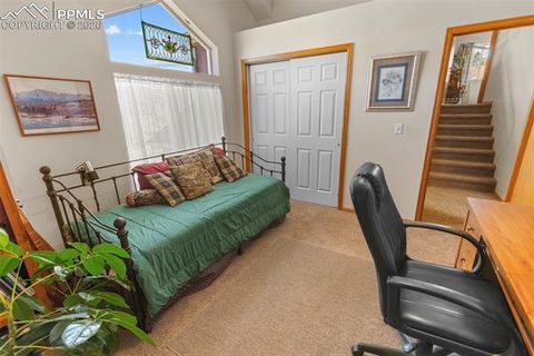 Tiny photo for 481 Black Bear Trail, Woodland Park, CO 80863 (MLS # 5029876)