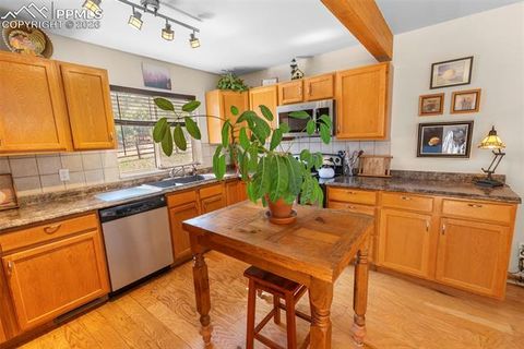 Tiny photo for 481 Black Bear Trail, Woodland Park, CO 80863 (MLS # 5029876)