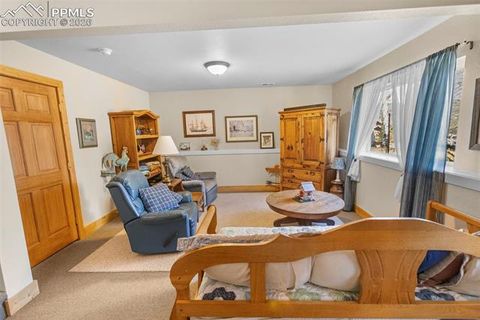 Tiny photo for 481 Black Bear Trail, Woodland Park, CO 80863 (MLS # 5029876)