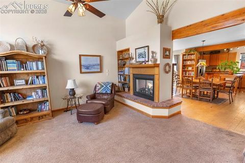 Tiny photo for 481 Black Bear Trail, Woodland Park, CO 80863 (MLS # 5029876)