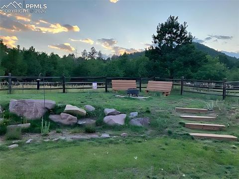 Tiny photo for 481 Black Bear Trail, Woodland Park, CO 80863 (MLS # 5029876)