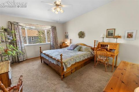 Tiny photo for 481 Black Bear Trail, Woodland Park, CO 80863 (MLS # 5029876)