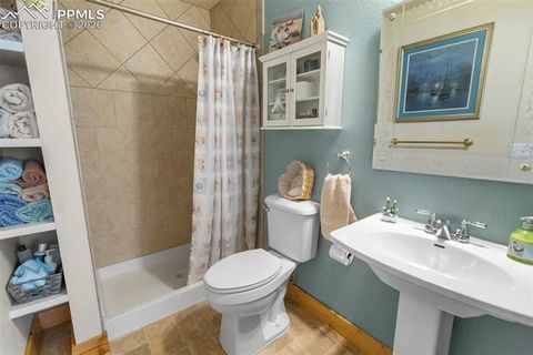 Tiny photo for 481 Black Bear Trail, Woodland Park, CO 80863 (MLS # 5029876)